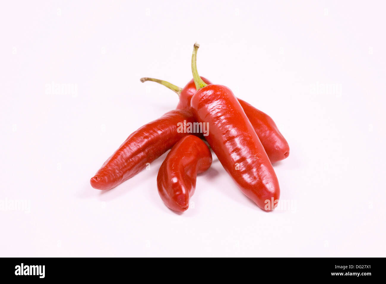 Capsicum Annum "Serenade". Rote Chilischoten auf weißem Hintergrund. Stockfoto