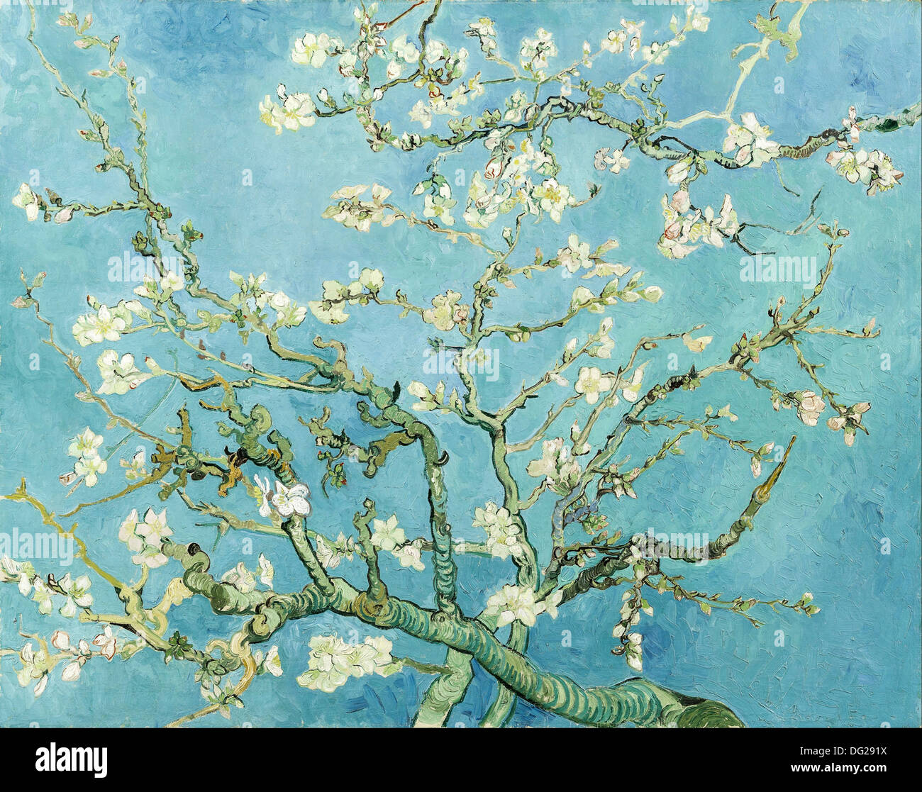 Mandelblüte von Vincent Van Gogh 1890 Stockfoto