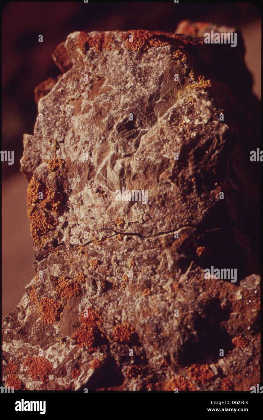 Dieses Bild zeigt eine kleine Felsformation in der Atigun Gorge, die sechs Meilen östlich der Pipeline Crossing in Alaska liegt. Die Formation ist bekannt für ihre sichtbaren Mineralkristalle und farbenfrohen Merkmale, die charakteristisch für die einzigartige Geologie und Landschaft der Gegend sind. Stockfoto