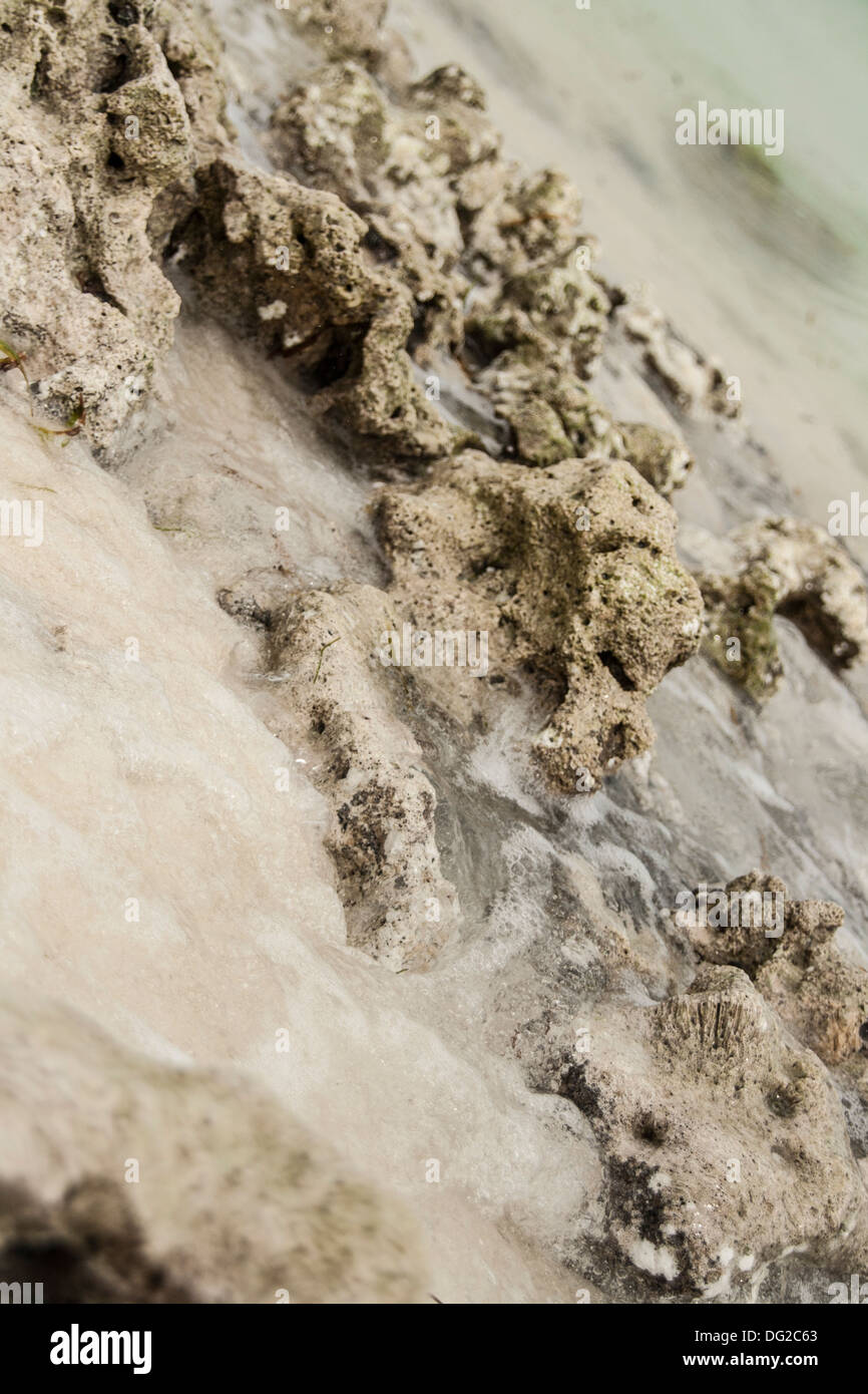 Nahaufnahme von der Sand am Strand von Meeru Island Resort Maldvies Stockfoto