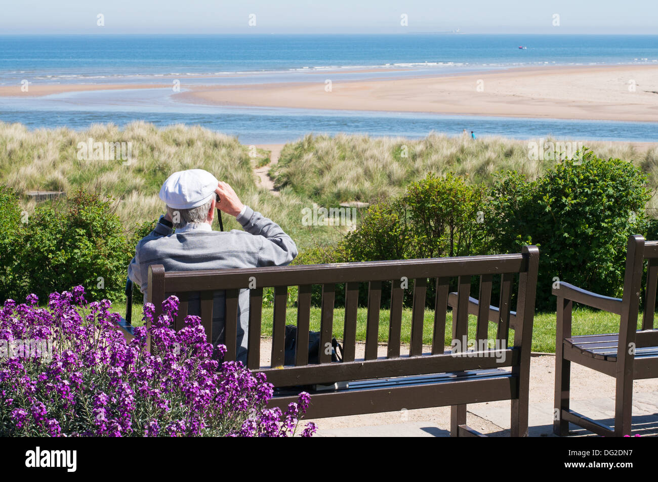 Mann auf der Bank sitzen und Blick auf das Meer Alnmouth Northumberland, England, UK Stockfoto