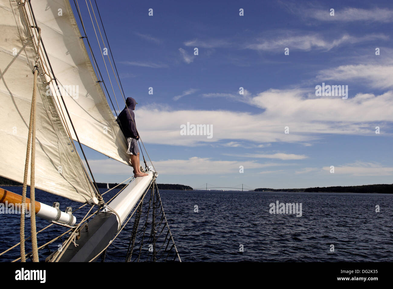 Windjammer-Lewis R. French Segeln Eggemogen erreichen Penobscott Bay Maine Küste New England USA Stockfoto