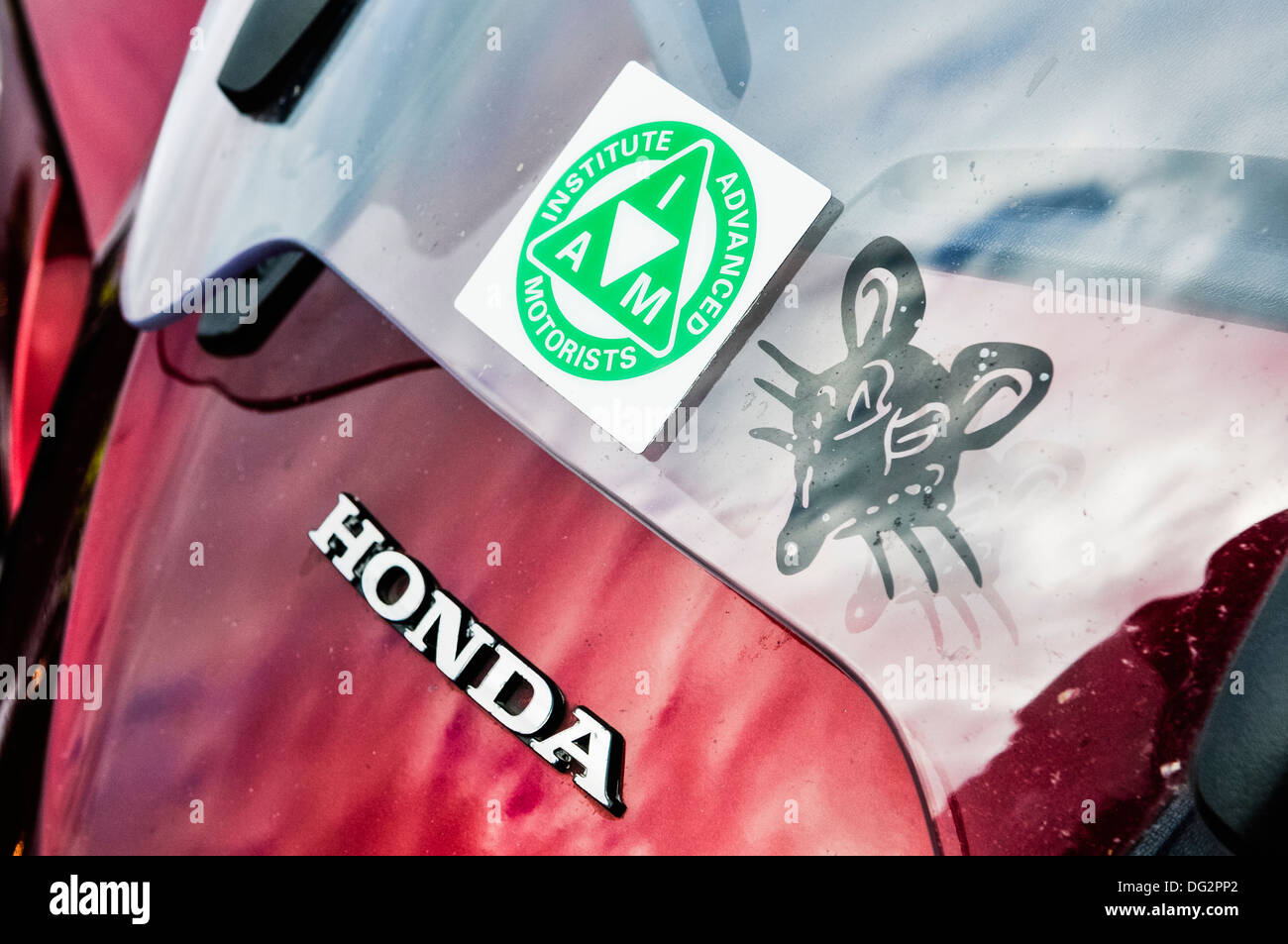 Eine grüne Institute of Advanced Autofahrer Abzeichen auf der Vorderseite eines Honda Motorrads. Stockfoto