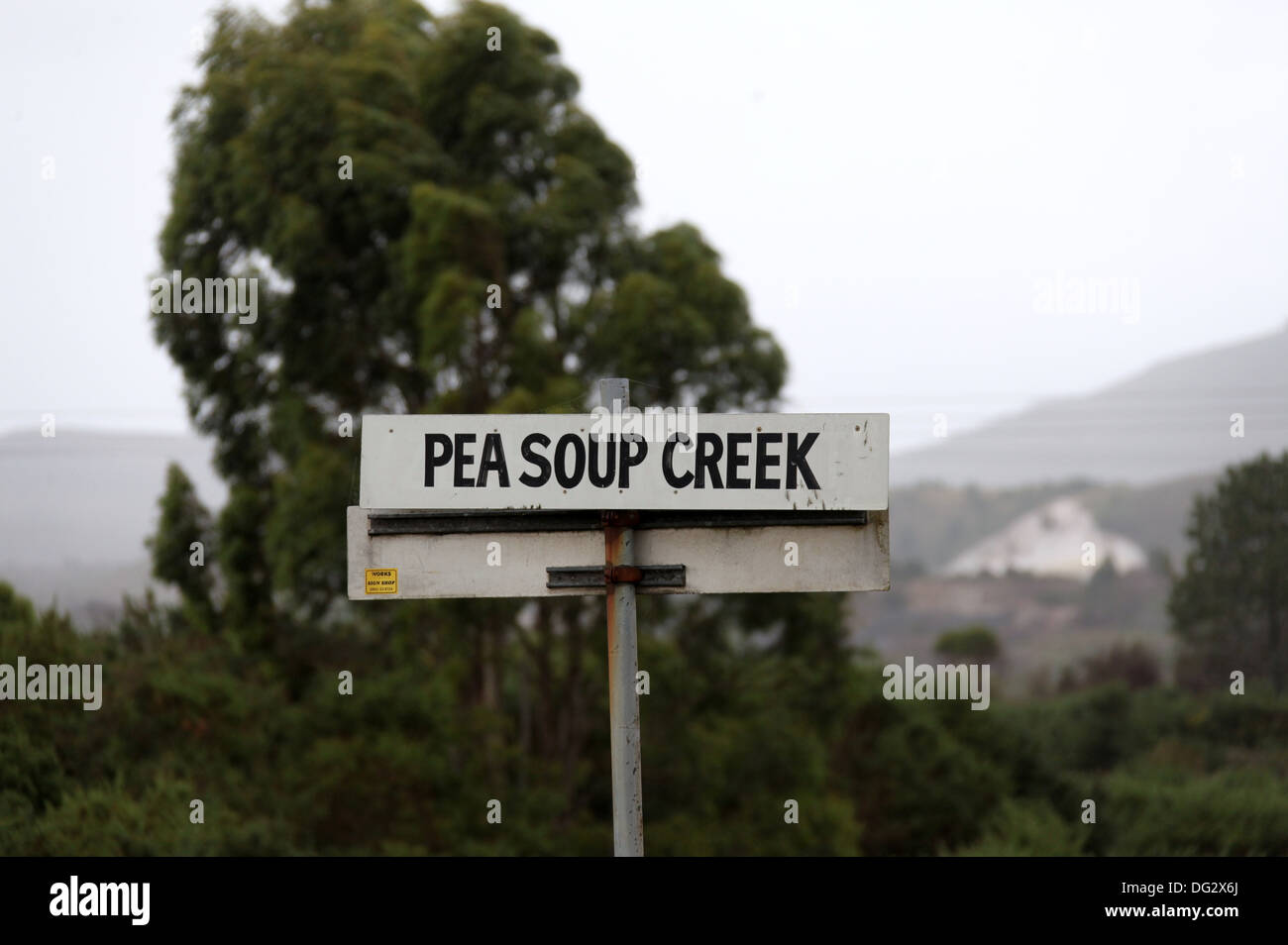 Erbse Suppe Creek auf der West Küste von Tasmanien in Zeehan Stockfoto