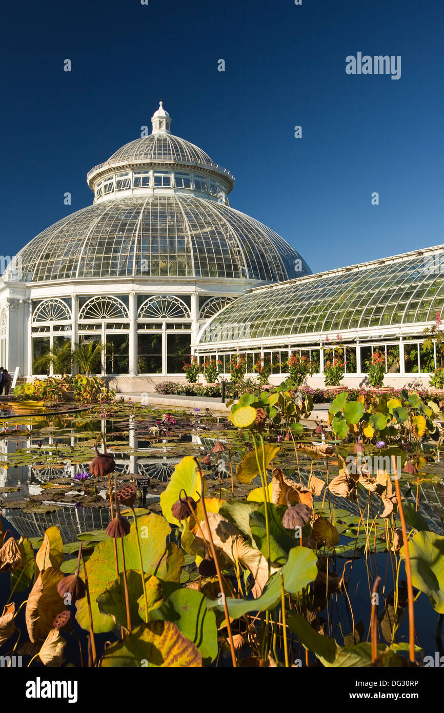 Gewächshaus-Kuppel mit Waterlily Teich im Vordergrund Stockfoto