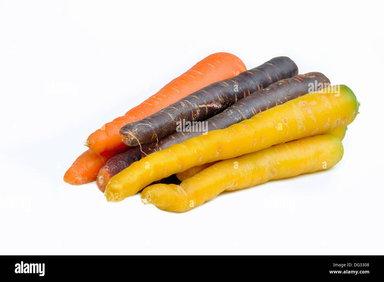 Karotten in verschiedenen Farben auf weißem Hintergrund Stockfoto