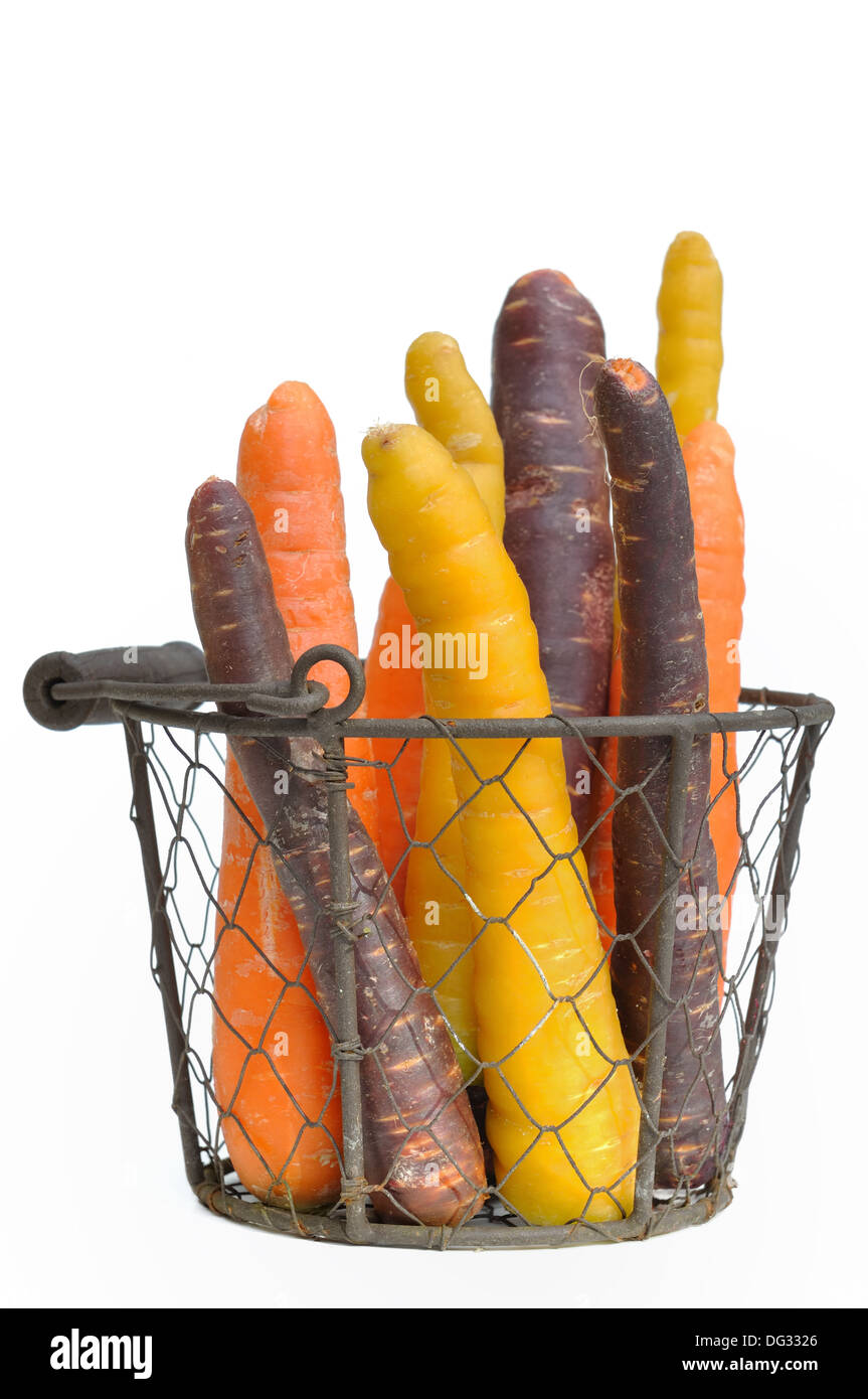 Karotten in verschiedenen Farben in einem Korb auf weißem Hintergrund Stockfoto
