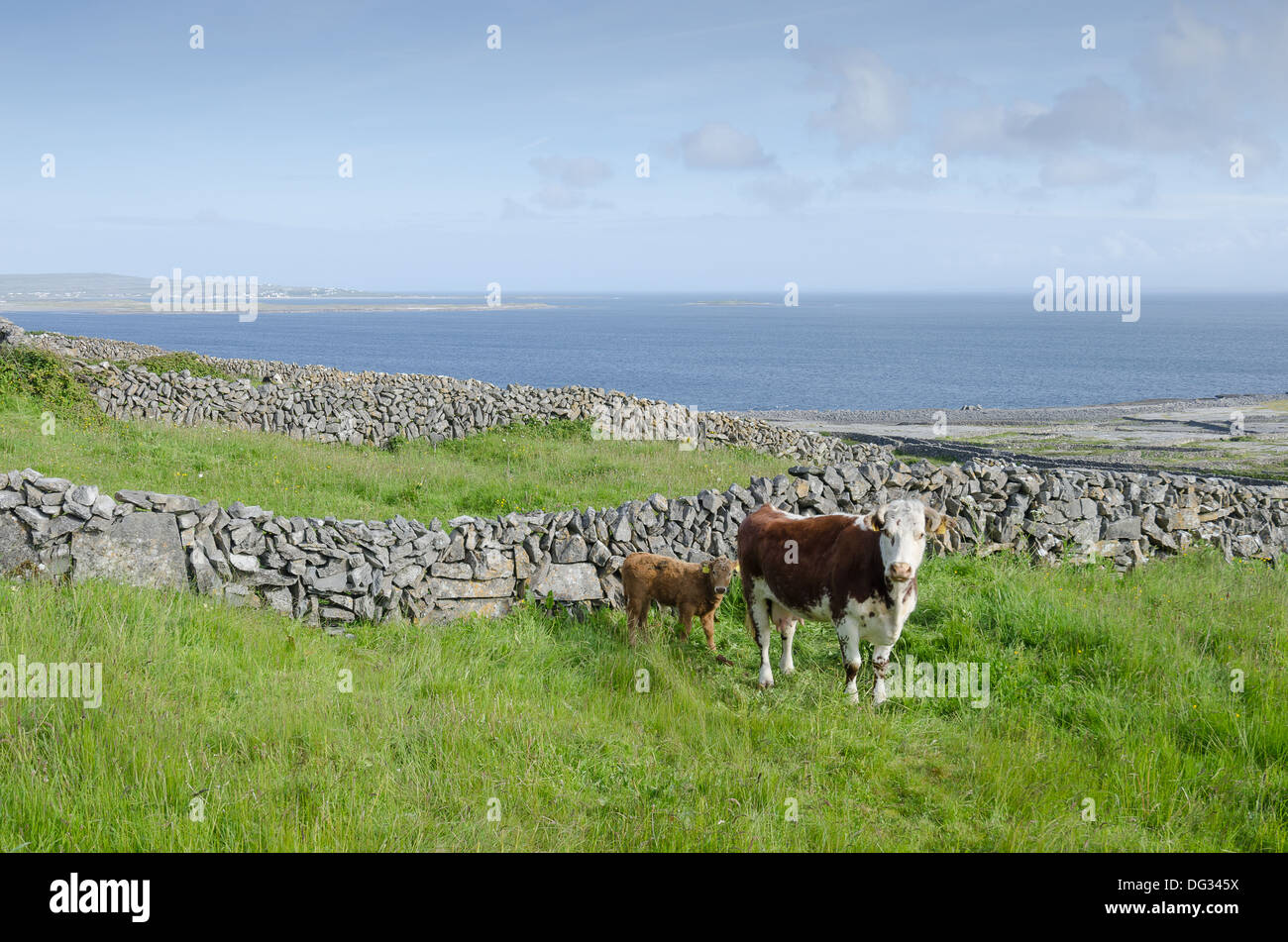 Inis Meain, die Aran Islands, Irland Stockfoto
