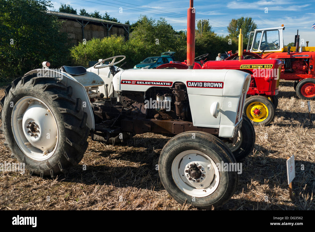 David Brown 770 Selectamatic Traktor Stockfoto