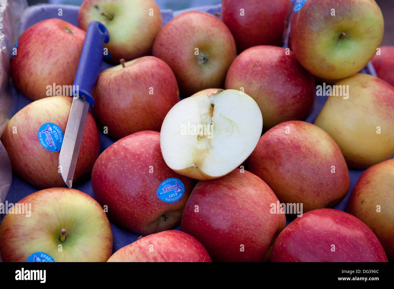 Äpfel (Malus X domestica) auf einem Markt Abwürgen, Hannover, Niedersachsen, Deutschland, Europa Stockfoto