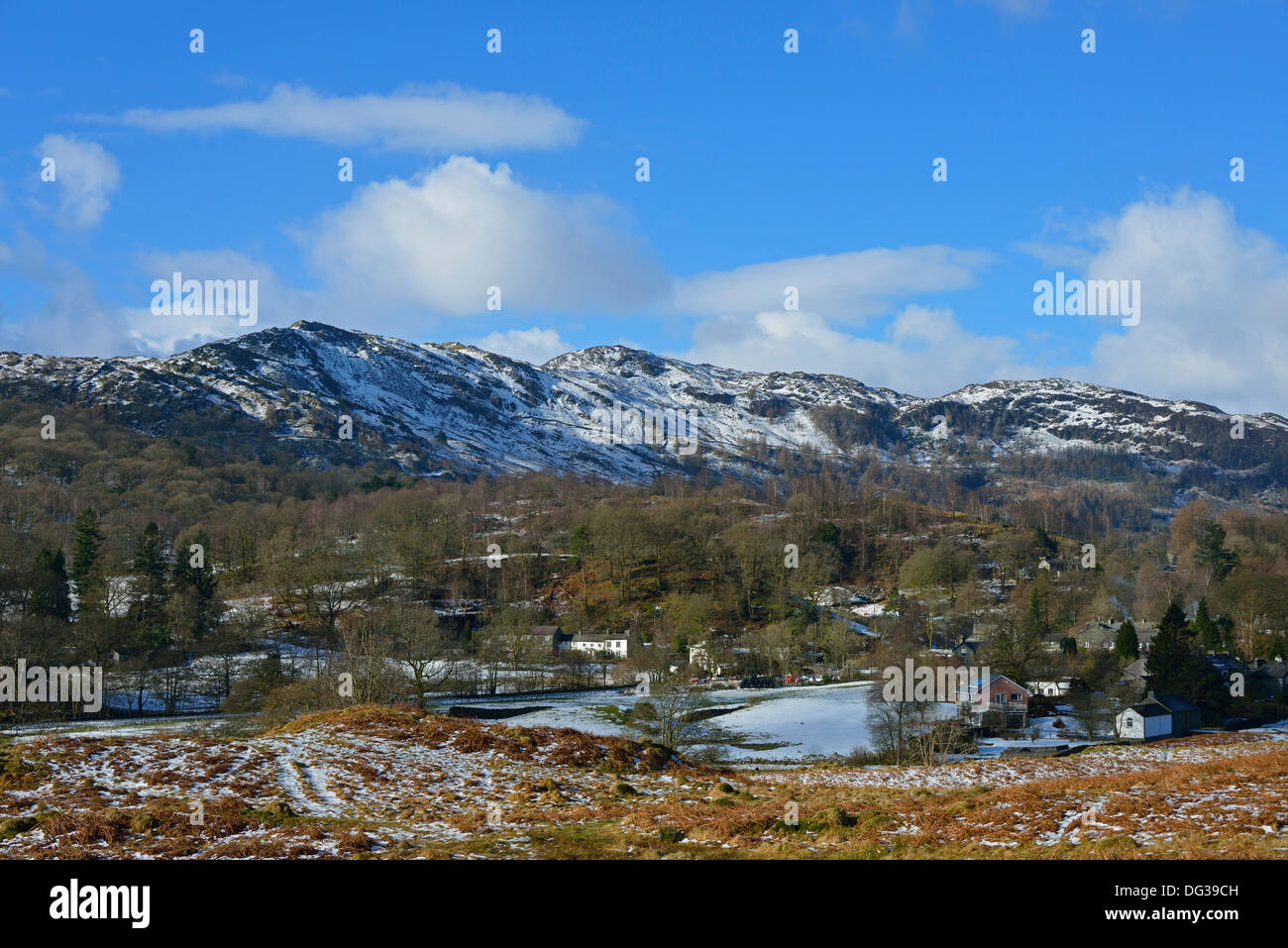 Lingmoor sank von Elterwater häufig, im Winter. Nationalpark Lake District, Cumbria, England, Vereinigtes Königreich, Europa. Stockfoto