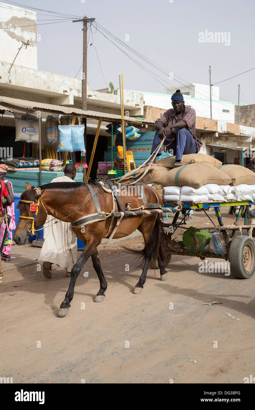 Senegal, Touba. Horse-drawn Wagen bringen waren auf den Markt zum Verkauf. Stockfoto