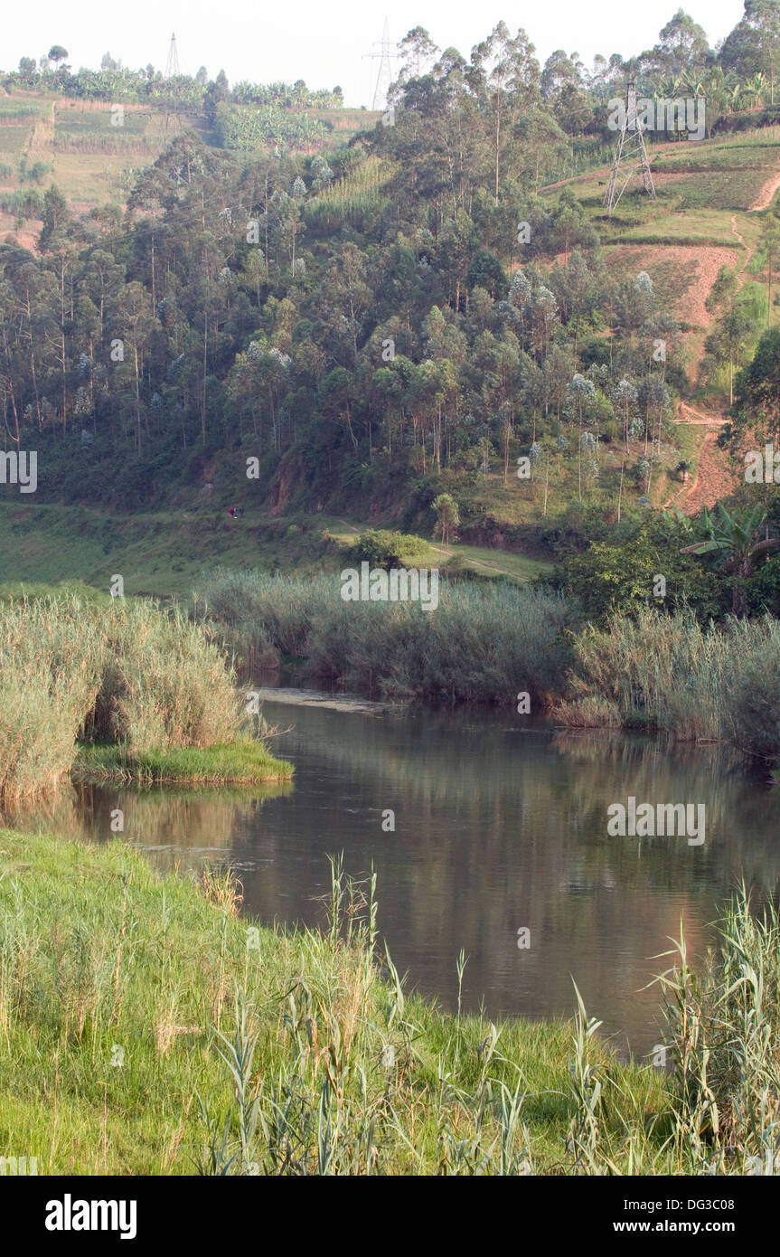 Fluss in der Agrarlandschaft des Ruanda-Land der 1000 Hügel gesetzt Stockfoto