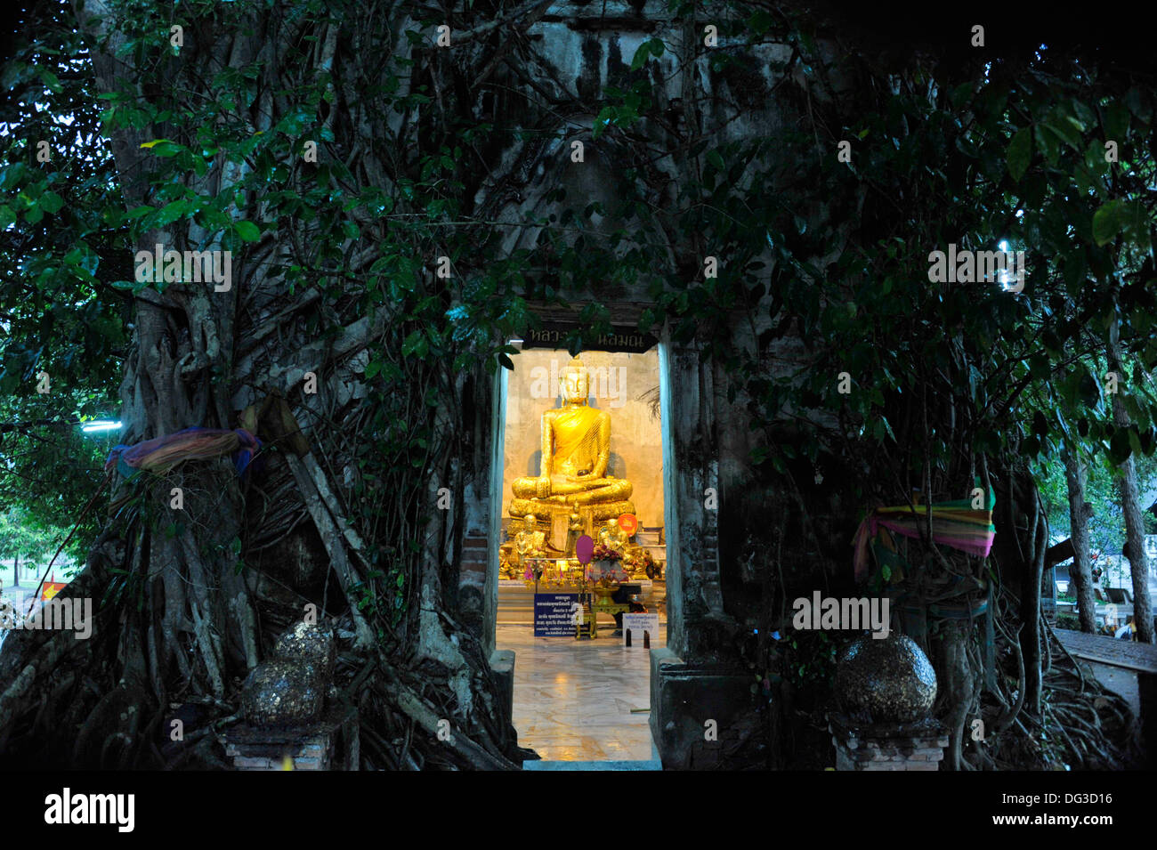 Der Banyan-Baum-Tempel in Wat Bang Kung in Amphawa, Samut Songkram in Thailand. Stockfoto