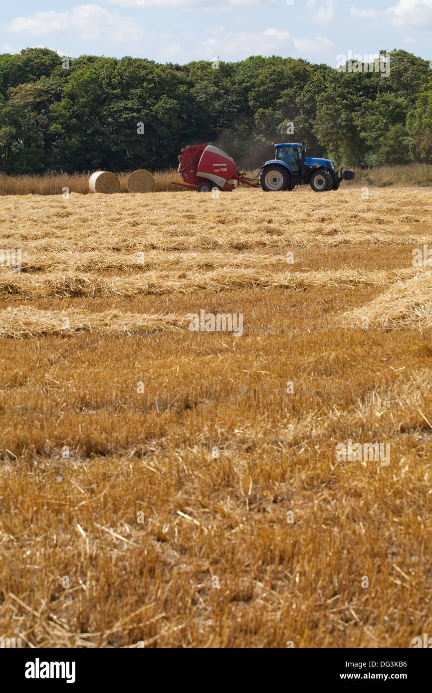 Rund Traktor gezogen, Pressen Maschine, arbeiten über Reihen kombinieren geerntete Stroh vom Schnitt und Getreide gedroschen. Stockfoto