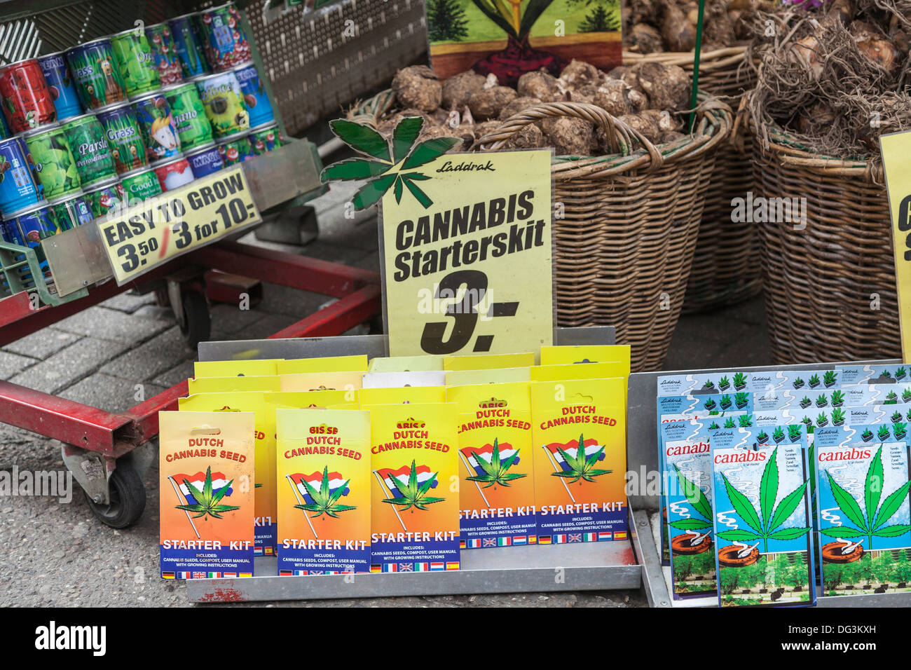 Cannabis-Samen in der Blume Markt, Amsterdam, Holland - Cannabis-Starter-Kit - mit anderen Paketen Samen verkauft Stockfoto