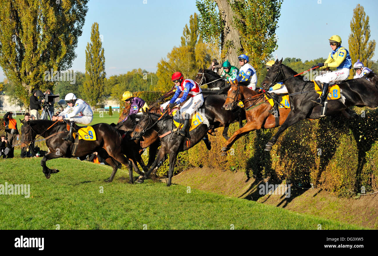 Pardubice, Tschechische Republik. 13. Oktober 2013. Orphee des Blins mit tschechischen jockey Jan Faltejsek, links im Bild während der Grand Pardubice (Velka Pardubice) Hindernislauf in Pardubice, Tschechische Republik, 13. Oktober 2013. Orphee des Blins, eine 11 Jahre alte Stute mit Jockey Jan Faltejsek gewann den Grand Pardubice Steeplechase, ihren Triumph aus dem Vorjahr zu verteidigen. Bildnachweis: CTK/Alamy Live-Nachrichten Stockfoto