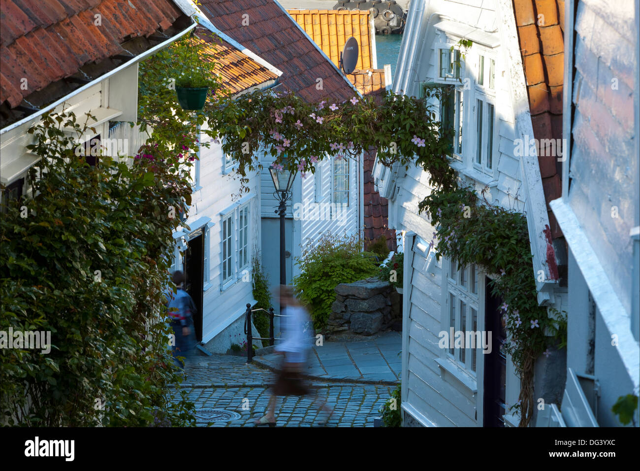 Holzhäuser und gepflasterten Gassen in der Altstadt von Stavanger, Stavanger, Rogaland, Norwegen, Skandinavien, Europa Stockfoto