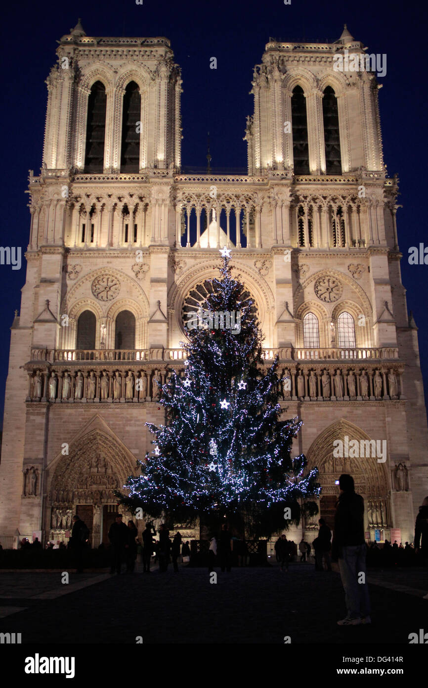 Weihnachtsbaum, Kathedrale Notre-Dame de Paris, Paris, Frankreich, Europa Stockfoto