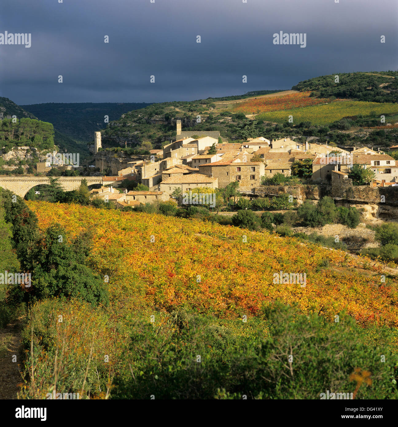 Blick über Dorf und Minervois Weinberge, Minerve, Languedoc-Roussillon, Frankreich, Europa Stockfoto