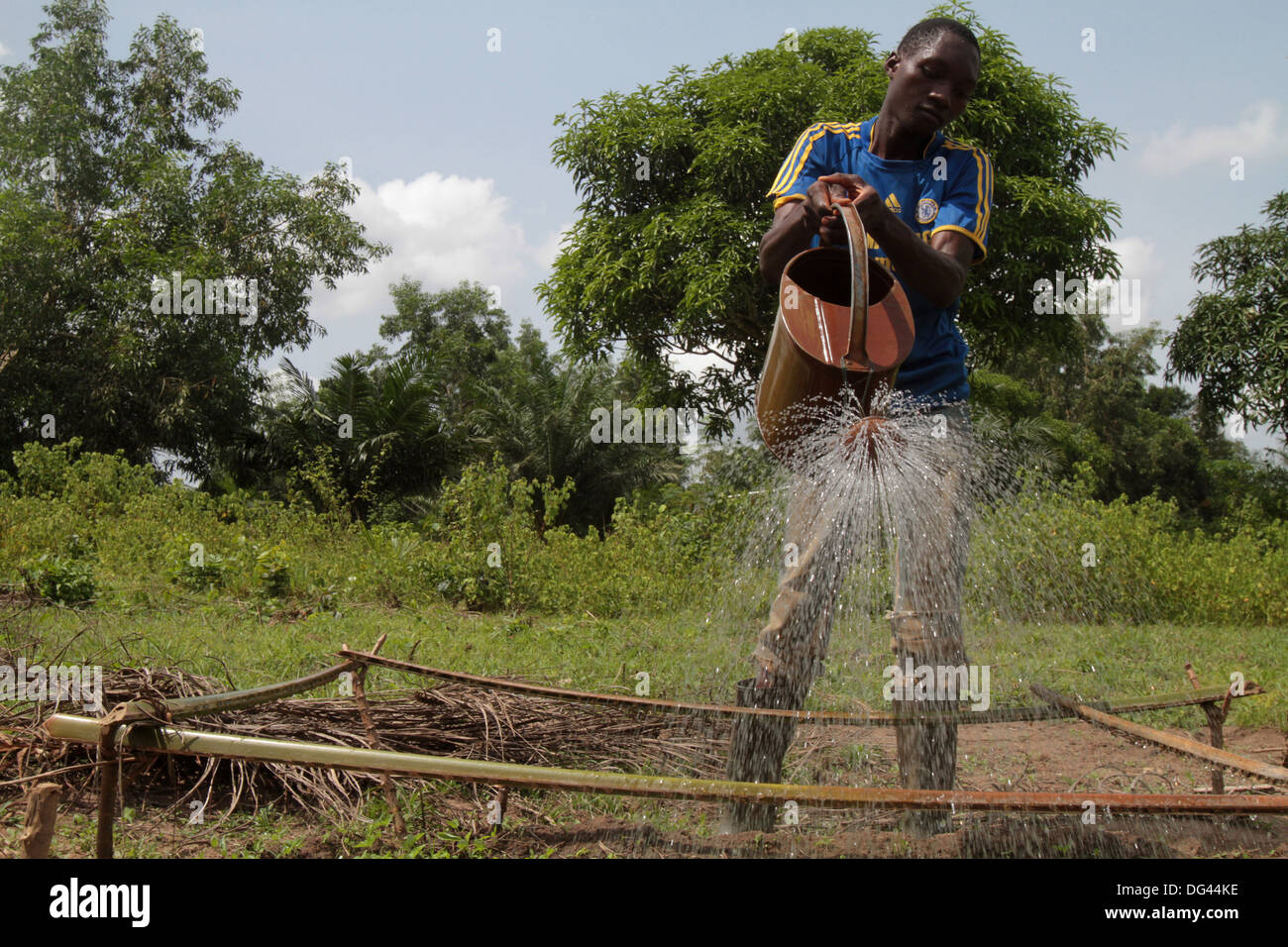 Bewässerung des Gartens auf einem Bauernhof, Tori, Benin, Westafrika, Afrika Stockfoto