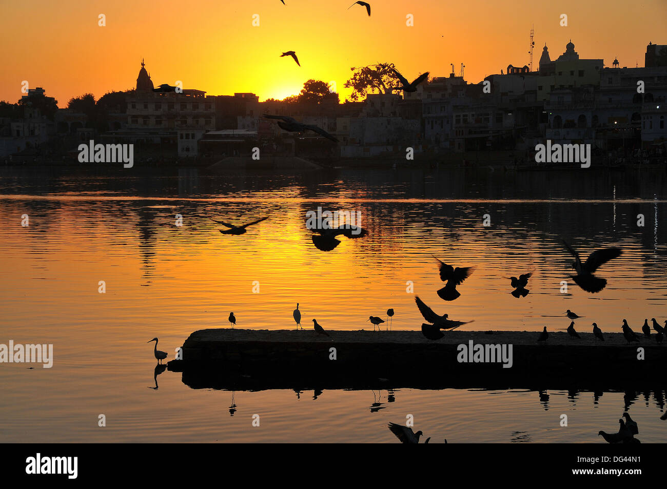 Sonnenuntergang auf den Ghats am Heiligen Pushkar-See, Pushkar, Rajasthan, Indien, Asien Stockfoto