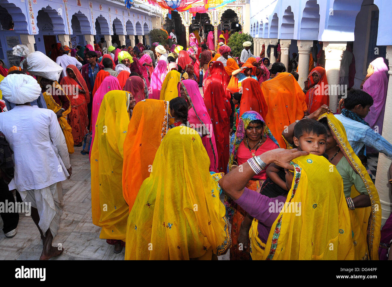 Rajasthani Frauen, Pushkar, Rajasthan, Indien, Asien Stockfoto