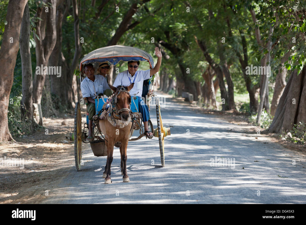 Touristischen Pferdewagen auf Baum gesäumt Spuren, Inwa, in der Nähe von Mandalay, Myanmar (Burma), Asien Stockfoto