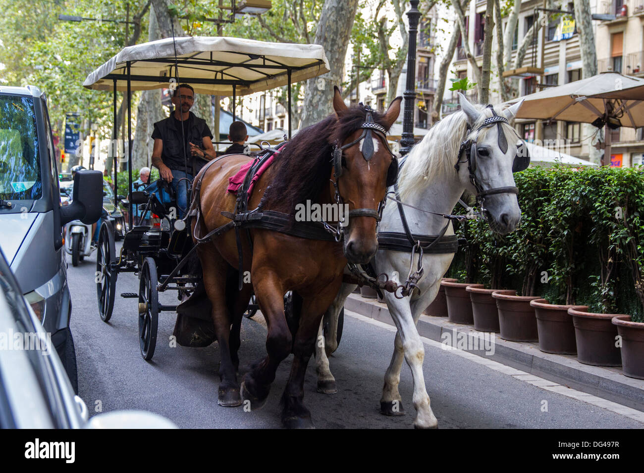 Pferdekutsche auf La Rambla Stockfoto