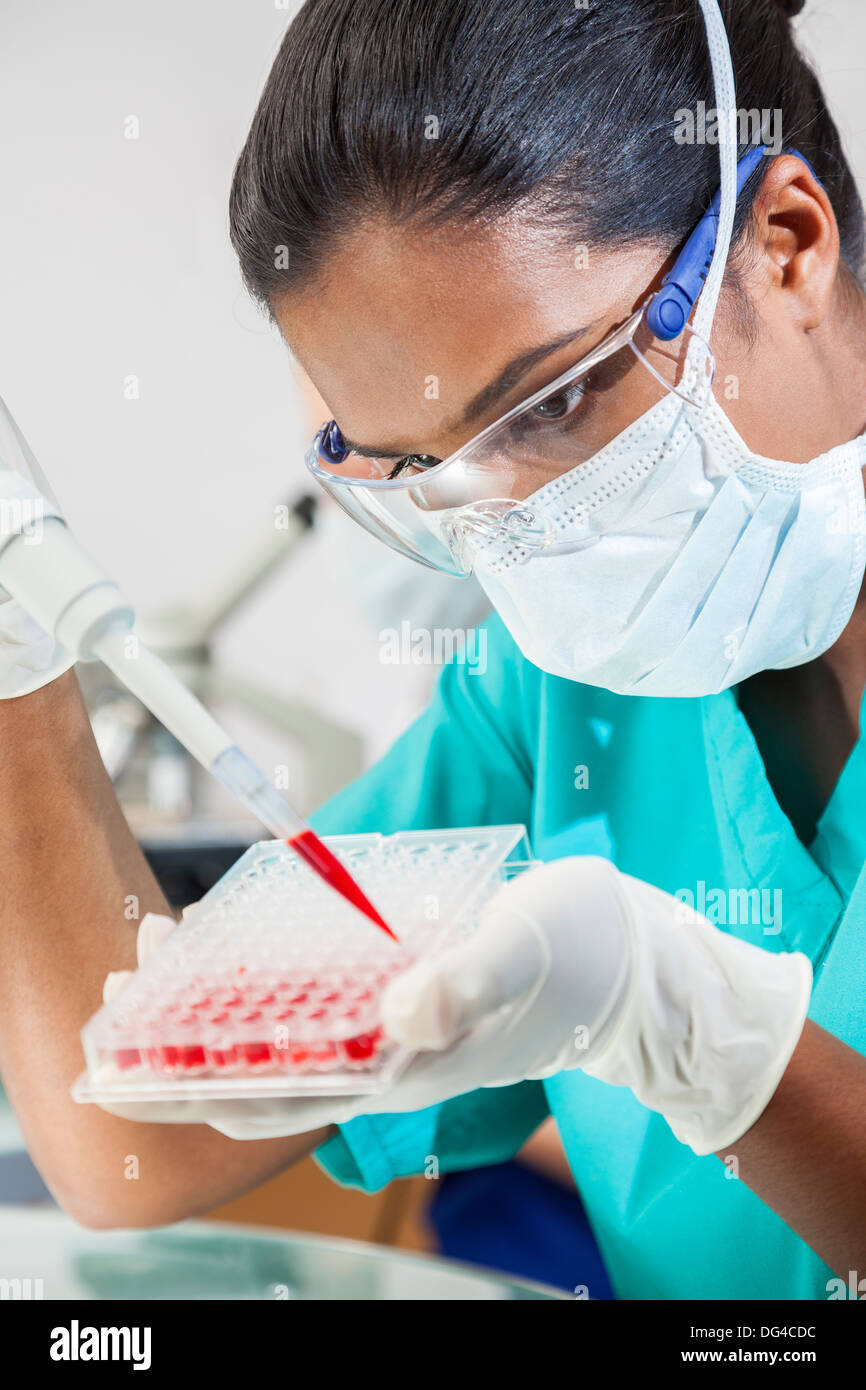 Asiatische indische medizinische oder wissenschaftliche Forscherin oder Arzt mit einem Probenteller Pipete und Blut in einem Labor Stockfoto