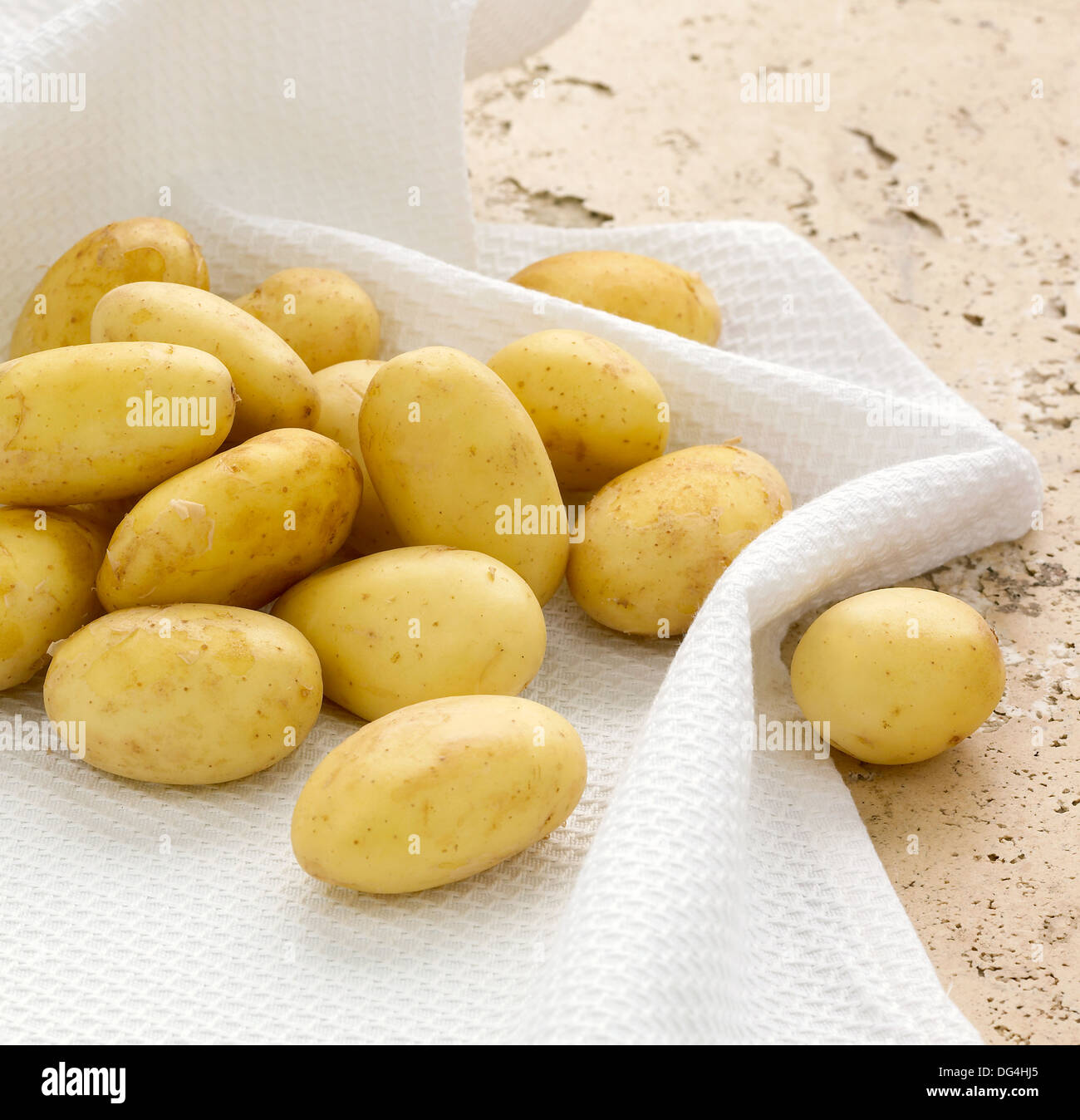 Jersey royal Kartoffeln sitzen auf weißen Spültuch Stockfoto