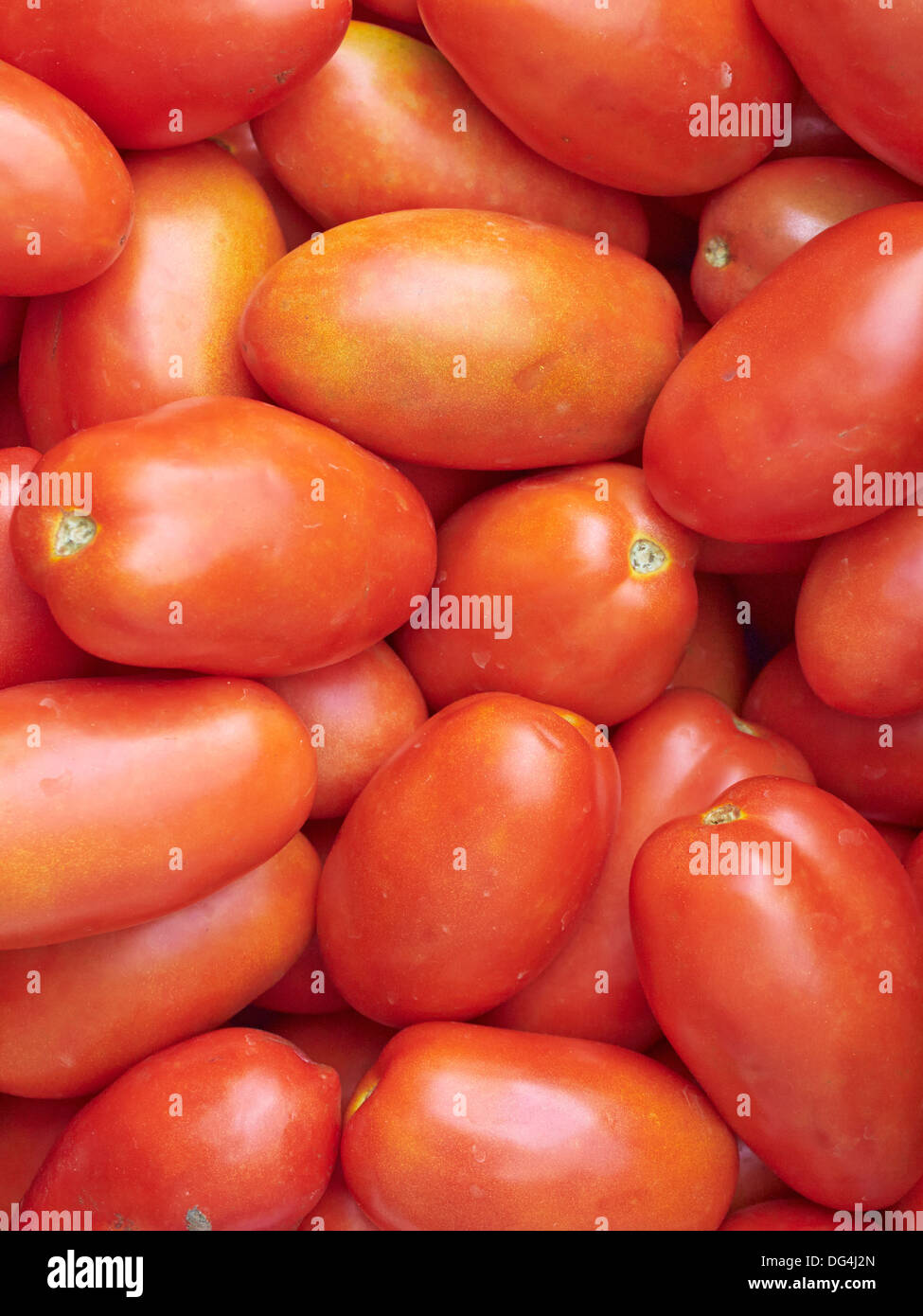 Plum Tomaten Stockfoto