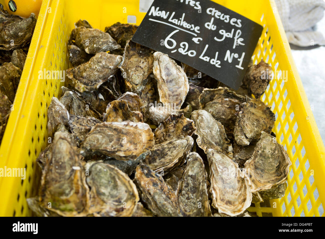 Eine Kiste mit lokalen Austern im Dorf St. Gildas Bretagne Frankreich Stockfoto