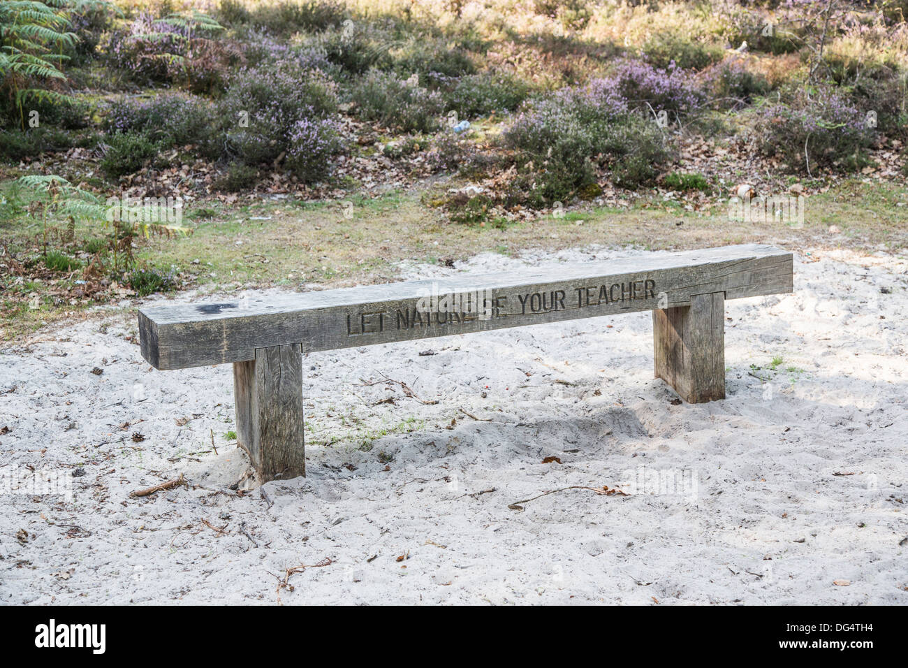 Holzbank eingeschrieben "Lassen Sie Natur werden Ihre Lehrer" am Frensham Pond, Surrey, UK Stockfoto