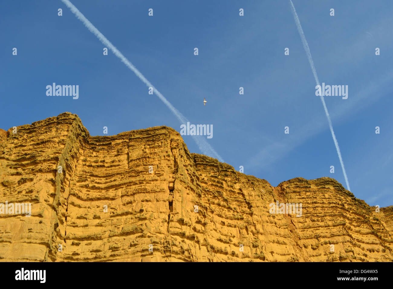 Klippen am East Cliff, West Bay, in der Nähe von Bridport, Dorset, England, UK Stockfoto