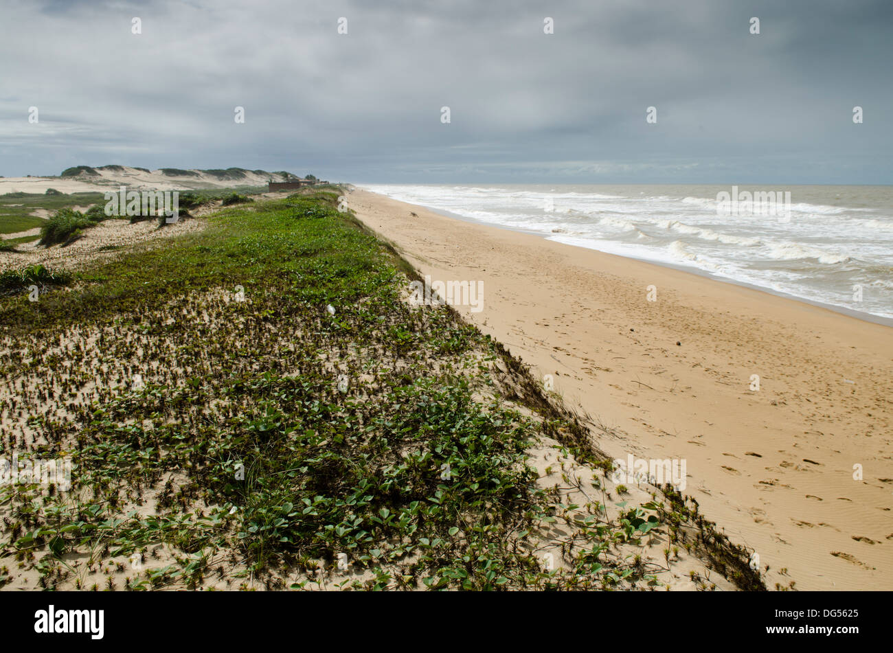 Itaunas Strand, Bundesstaat Espirito Santo, Brasilien Stockfoto