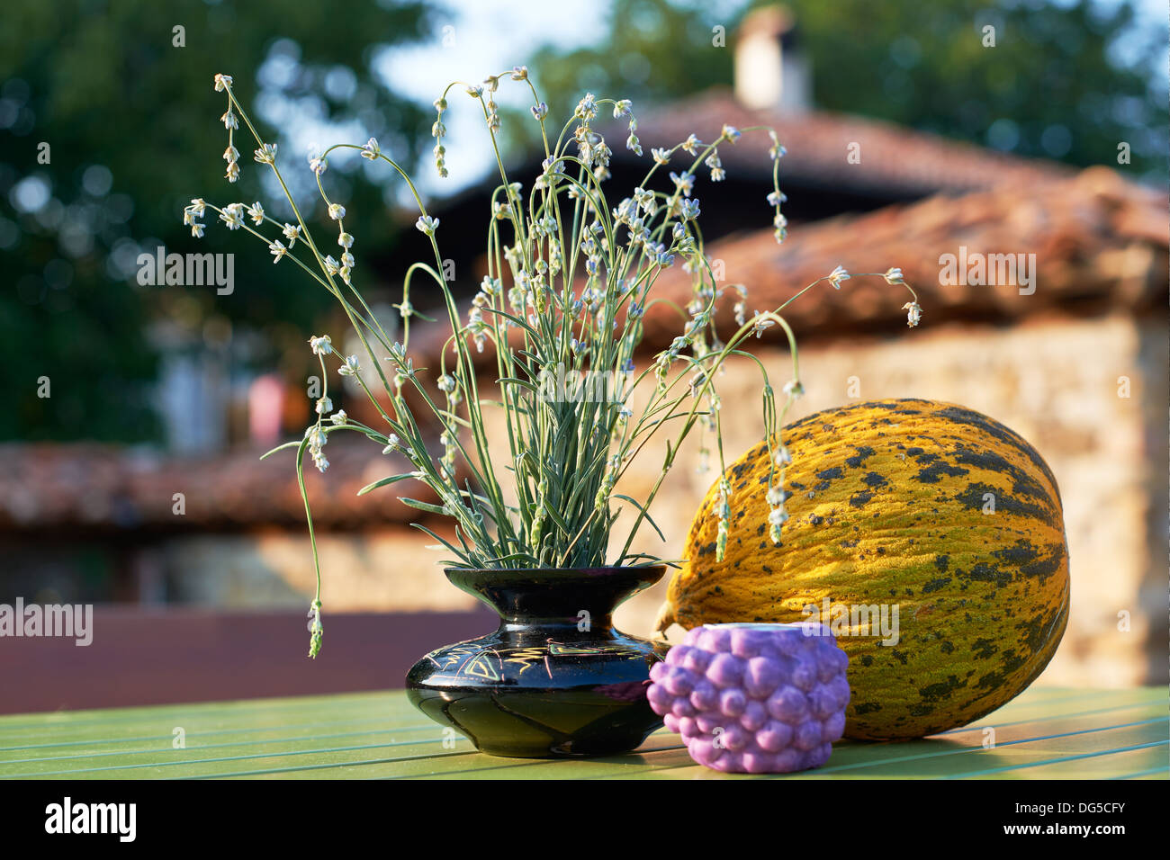 Reife Gelbe Melone und Lavendel der Provence, Südfrankreich Stockfoto