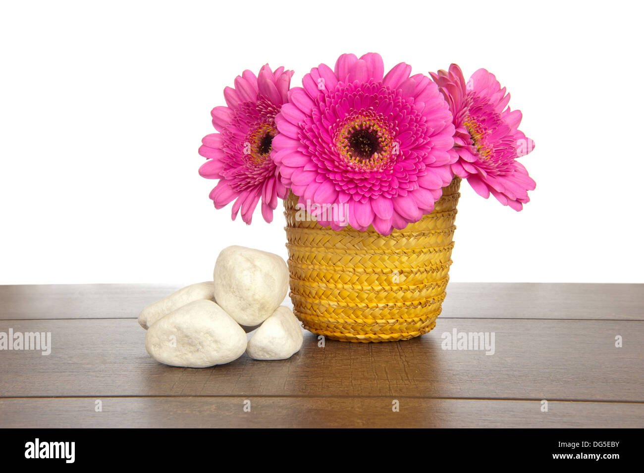 Rosa Gerbera in gelb Stroh Korb mit Haufen von weißen Steinen auf einem dunklen Braun Holzregal Stockfoto