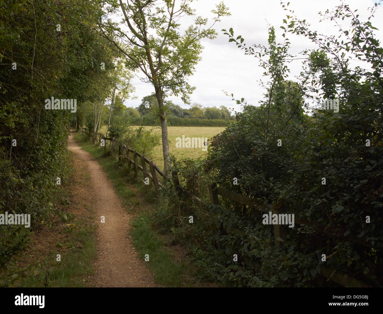 Die Thames Path in der Nähe von Cricklade, England Stockfoto