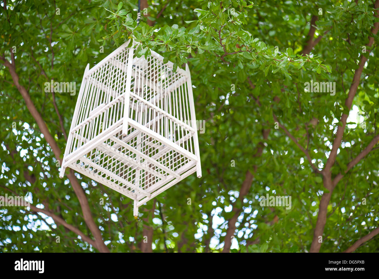 Holz-White Käfig auf Baum. Stockfoto