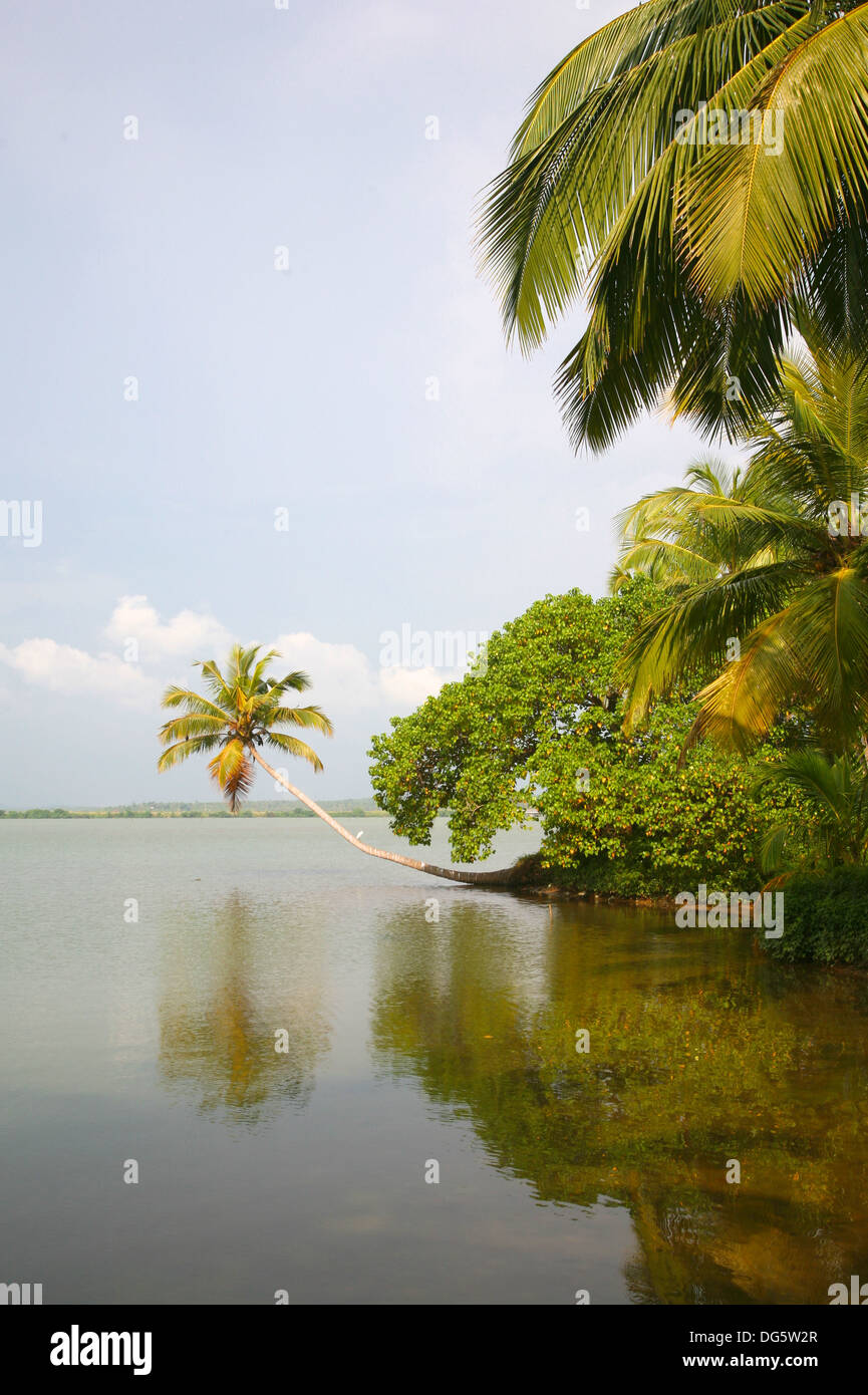 Gewässer in Kerala zurück Stockfoto