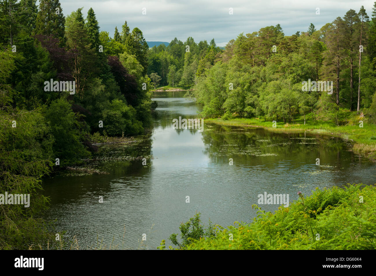 Tarn Hows, in der Nähe von Coniston, Cumbria, England Stockfoto