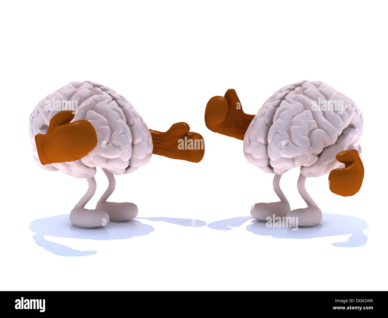 zwei menschliche Gehirn mit Boxhandschuhen in einem Kampf, 3d illustration Stockfoto