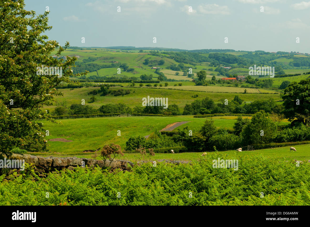 Eskdale in der Nähe von Grosmont, North Yorkshire, England Stockfoto