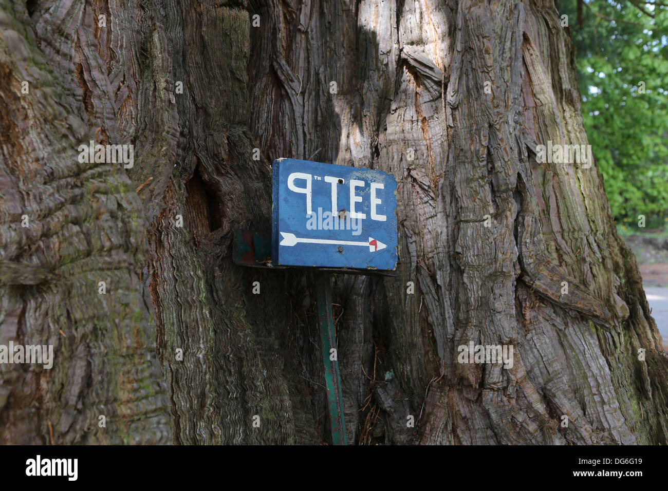 Blaues Golf Schild weist uns den Weg zum 9. Abschlag an einen Baum genagelt Stockfoto