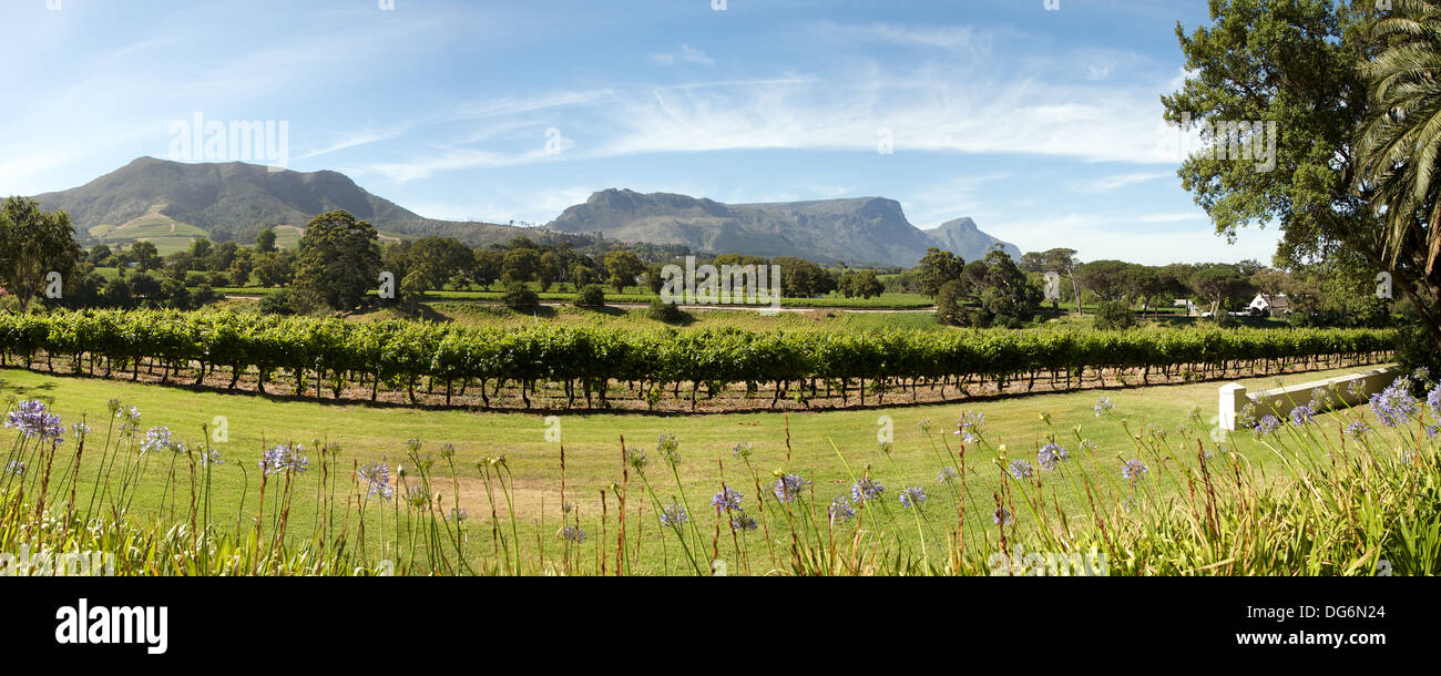 Panorama der Weinproduzent in Cape Town, Südafrika. Stockfoto