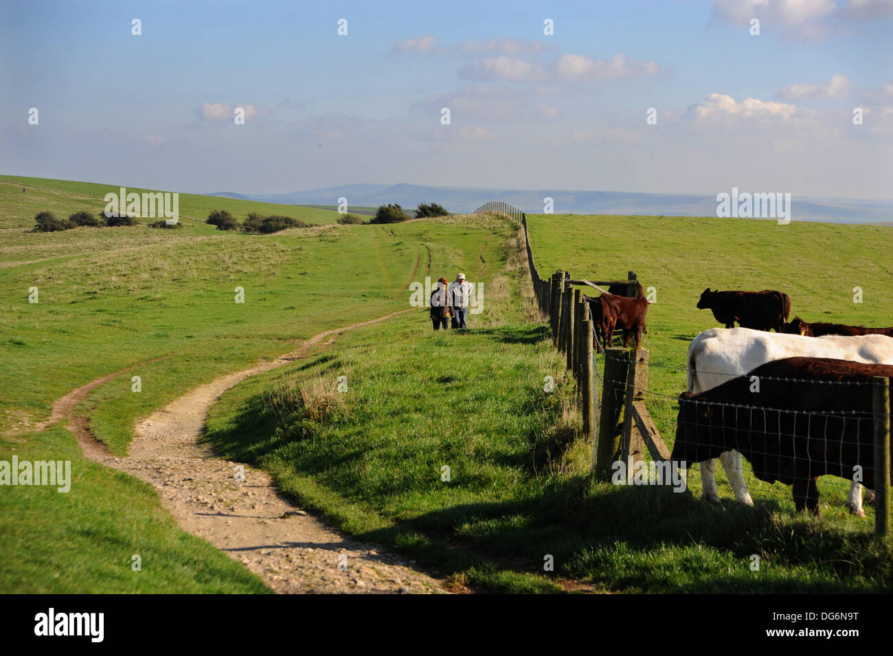 Wanderer genießen Sie eine Herbst-Wanderung über den South Downs Way von Ditchling Leuchtfeuer in der Nähe von Brighton heute Stockfoto