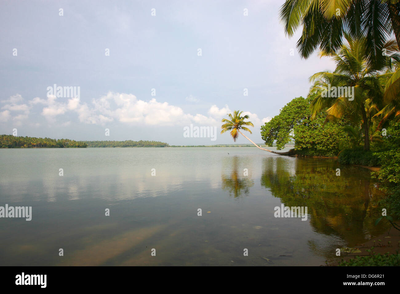 Gewässer in Kerala, Indien zurück. Stockfoto