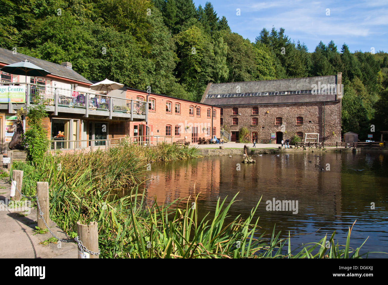 Dean Heritage Center Wald von Dean Gloucestershire England UK Stockfoto