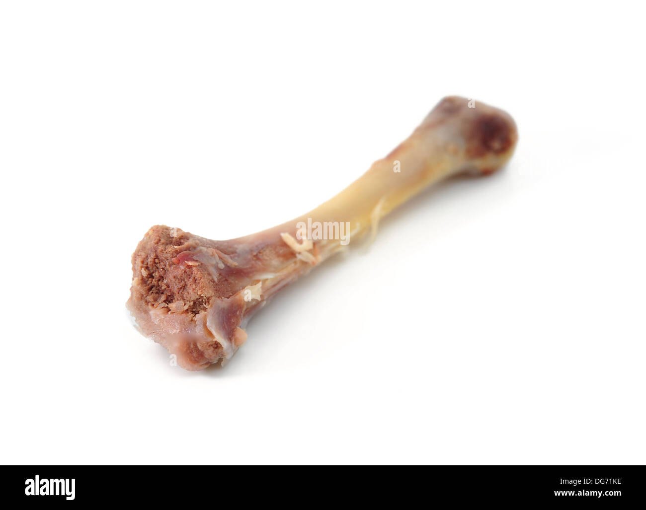 Hühnerknochen Bein isoliert auf weiss Stockfoto